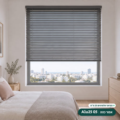 Alu25 05 · אפור כהה – ונציאני אלומיניום 25 מ״מ